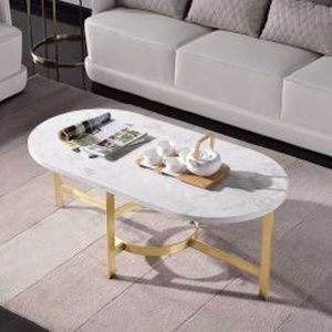 West Elm Marble Brass Oval Coffee Table